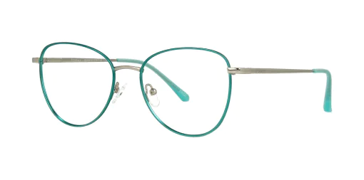 Optical frame with clip-on TONNY 48380C1-CL1