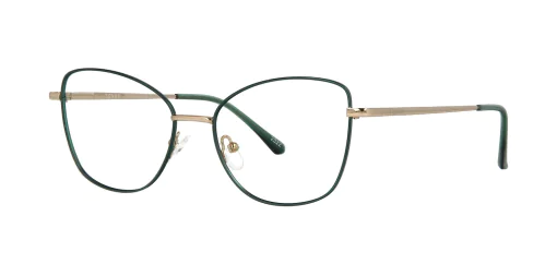Optical frame with clip-on TONNY 48382C2-CL1