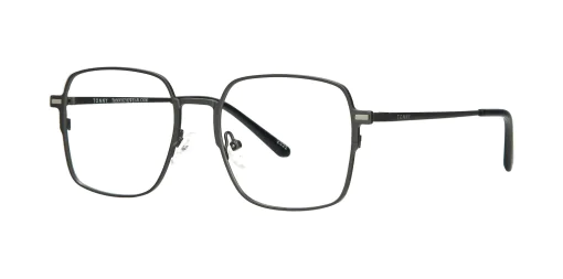 Optical frame with clip-on TONNY 48391C3-CL3