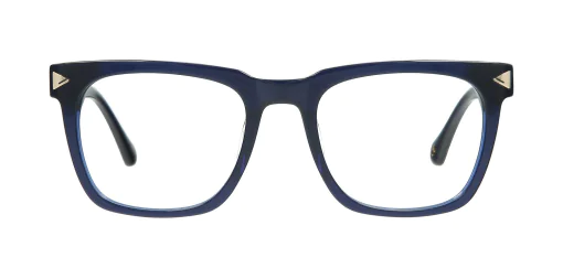 Optical frame TONNY 44003C2