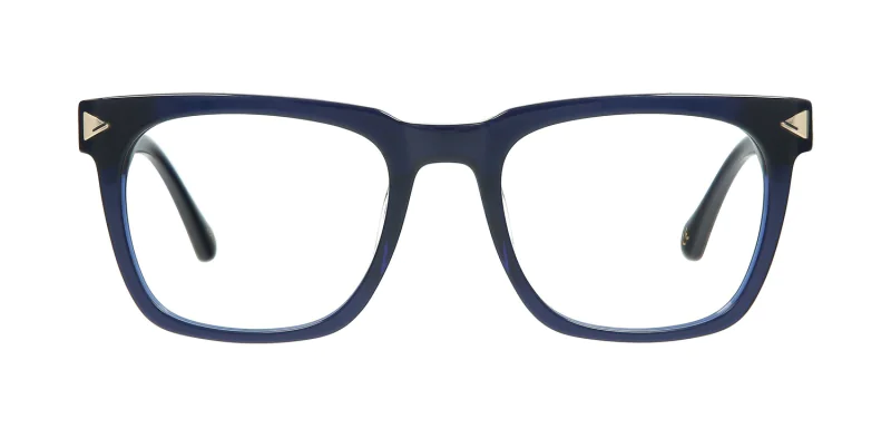 Optical frame TONNY 44003C2