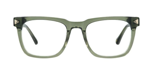 Optical frame TONNY 44003C3