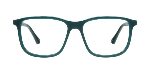 Optical frame TONNY 44040C2