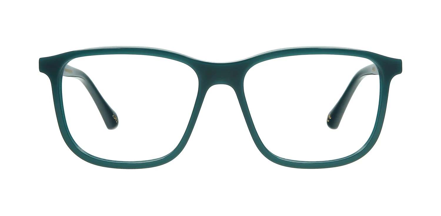 Optical frame TONNY 44040C2