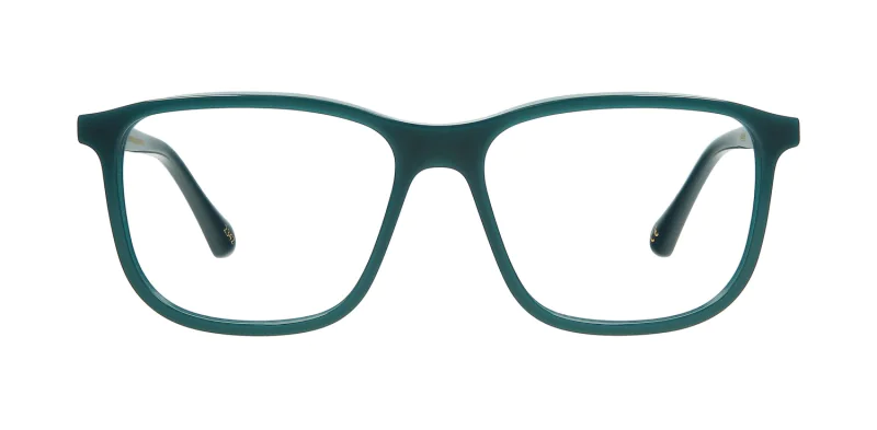 Optical frame TONNY 44040C2