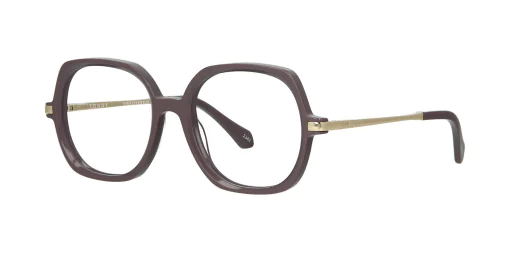 Optical frame TONNY 48403C4