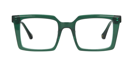 Optical frame TONNY 48407C4