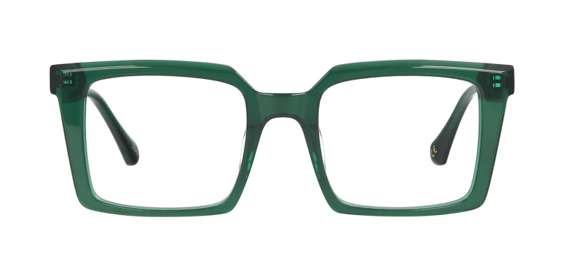 Optical frame TONNY 48407C4