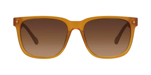 Sunglasses TONNY 44007C1
