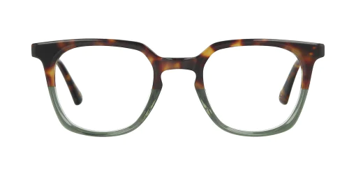 Optical frame TONNY 44036C1