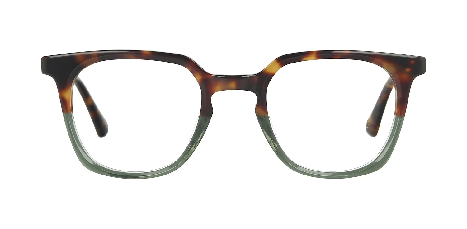 Optical frame TONNY 44036C1