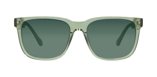 Sunglasses TONNY 44007C2