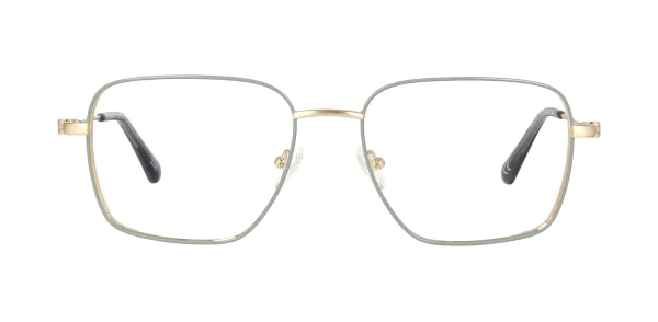 Optical frame TONNY 48437C2