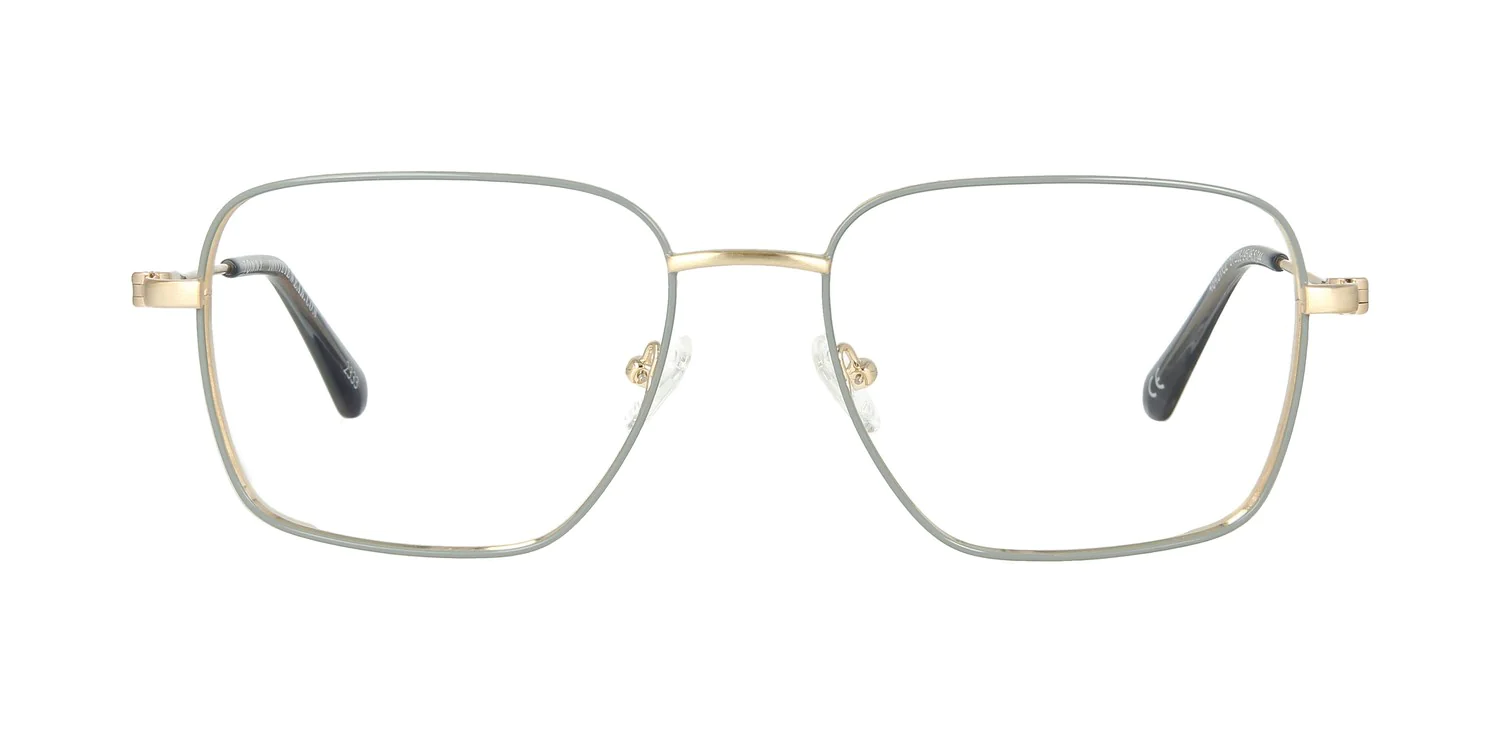 Optical frame TONNY 48437C2