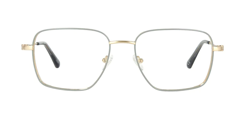 Optical frame TONNY 48437C2