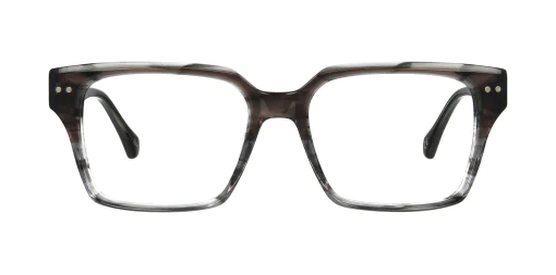 Optical frame TONNY 48445C2-CL