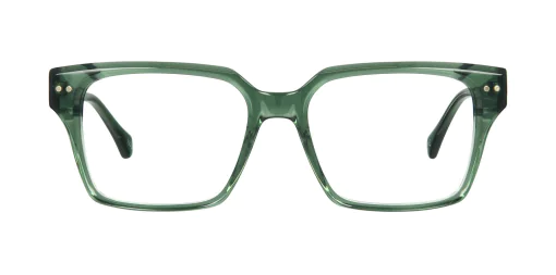 Optical frame TONNY 48445C4-CL