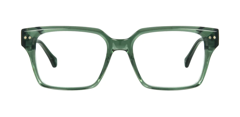 Optical frame TONNY 48445C4-CL