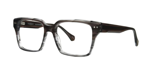 Optical frame TONNY 48445C2-CL