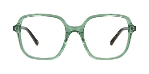 Optical frame TONNY 48459C1