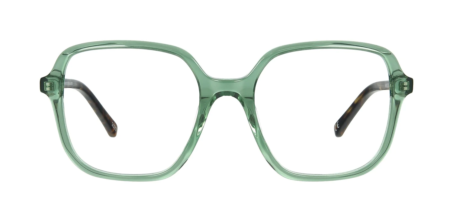 Optical frame TONNY 48459C1