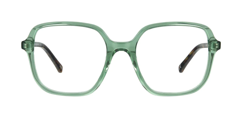 Optical frame TONNY 48459C1