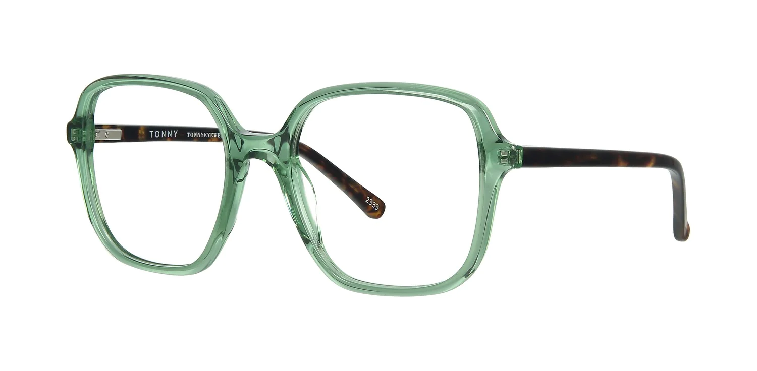 Optical frame TONNY 48459C1