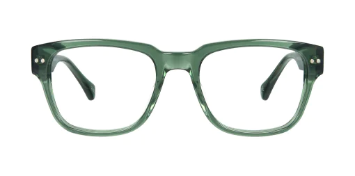 Optical frame TONNY 48447C1-CL