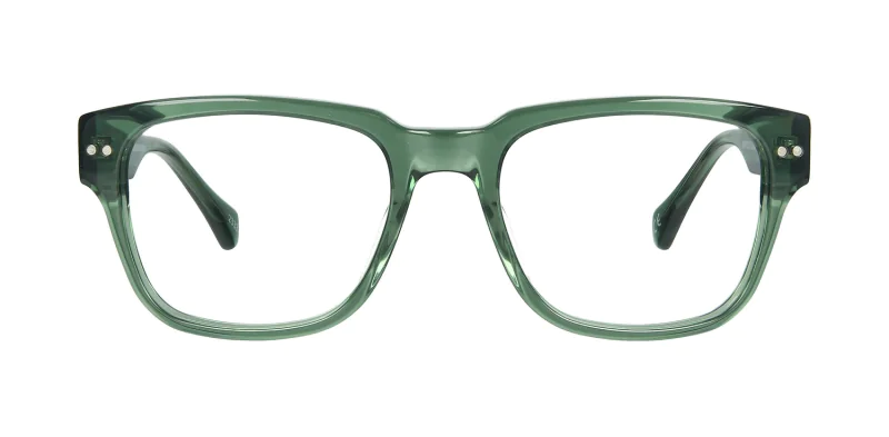 Optical frame TONNY 48447C1-CL