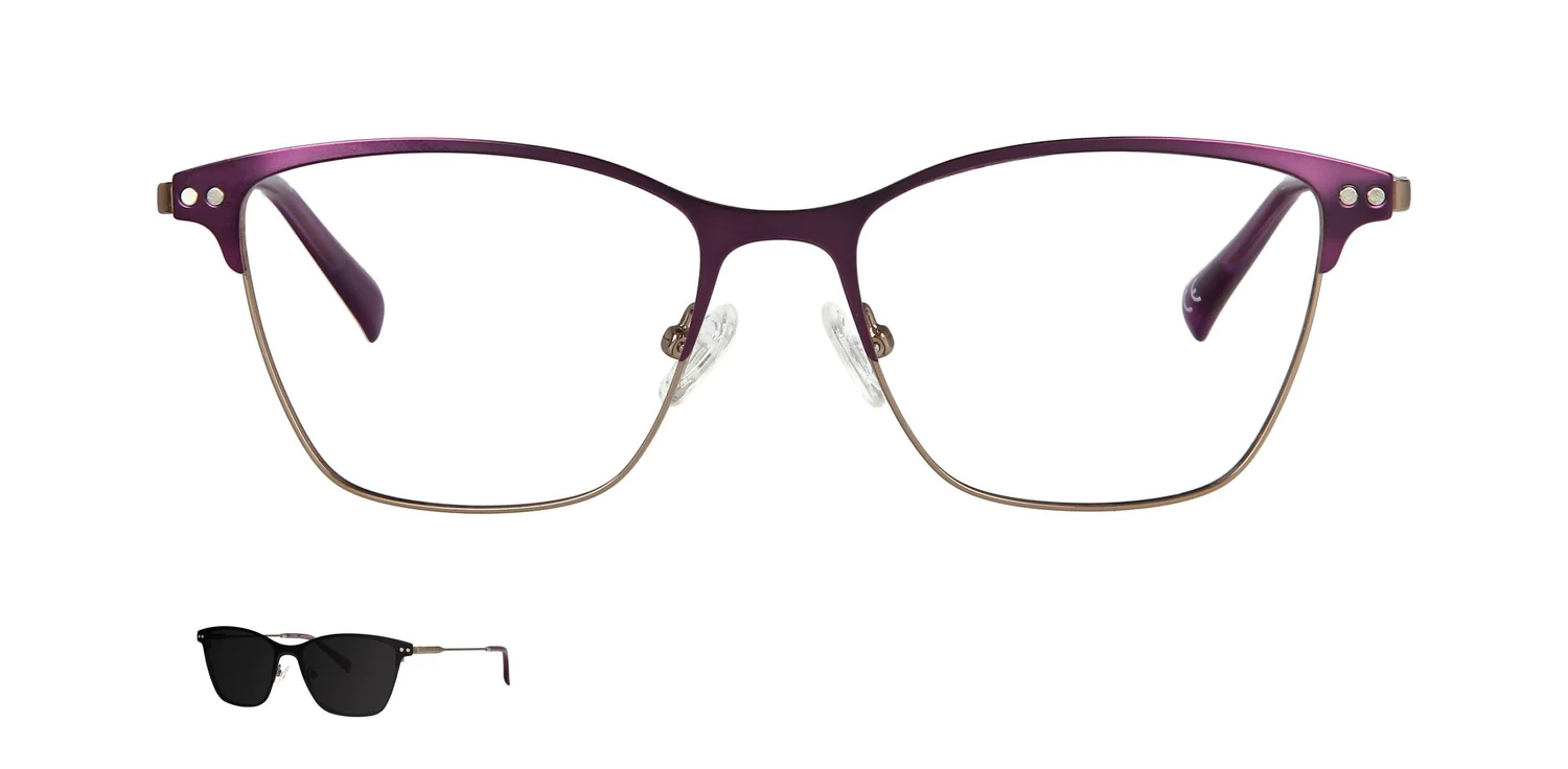 Optical frame with clip-on...