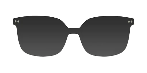 CLIP-ON sun cover 3053C