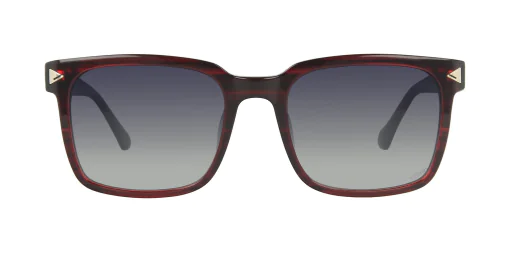 Sunglasses TONNY 44006C3