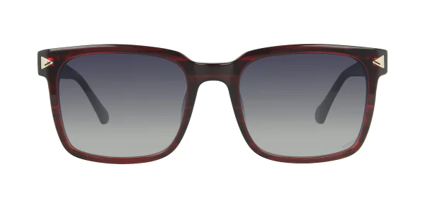 Sunglasses TONNY 44006C3