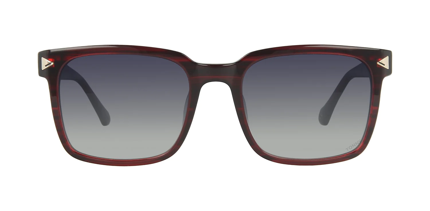 Sunglasses TONNY 44006C3