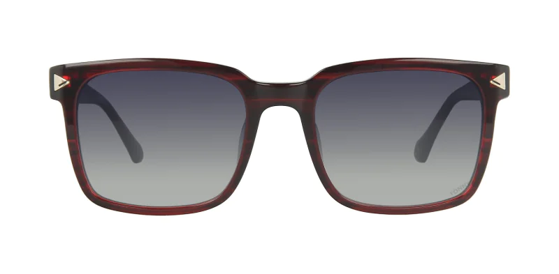 Sunglasses TONNY 44006C3