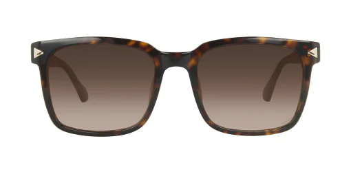 Sunglasses TONNY 44006C4