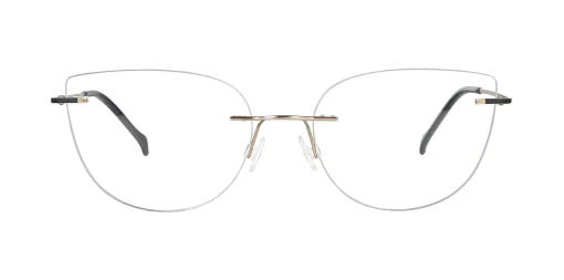 Optical frame TONNY Titanium 243C1