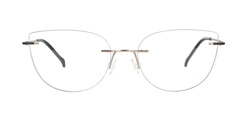 Optical frame TONNY Titanium 243C1