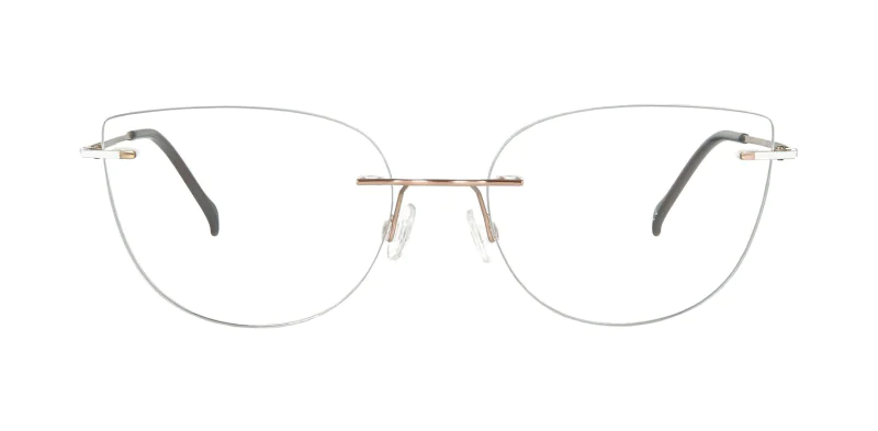 Optical frame TONNY Titanium 243C3