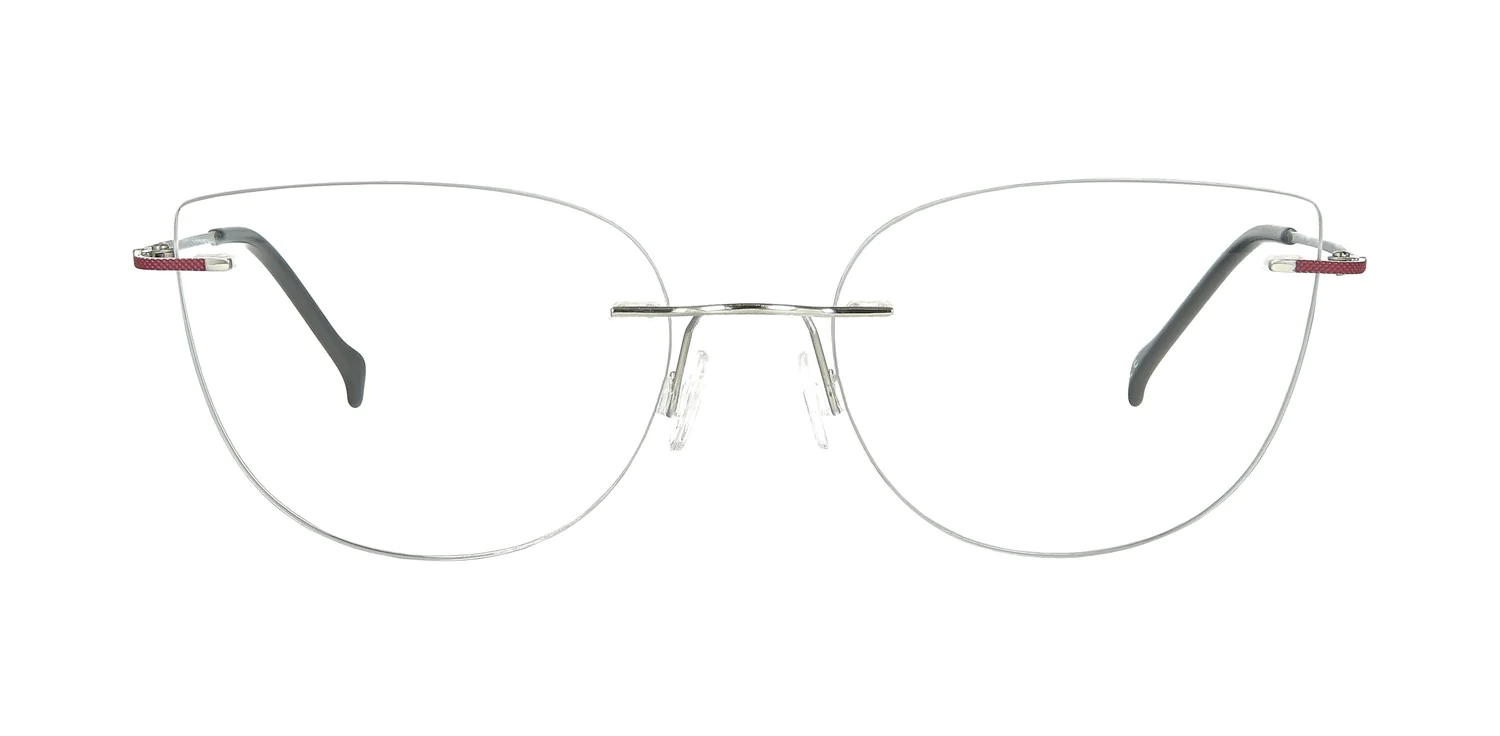 Optical frame TONNY Titanium 243C4