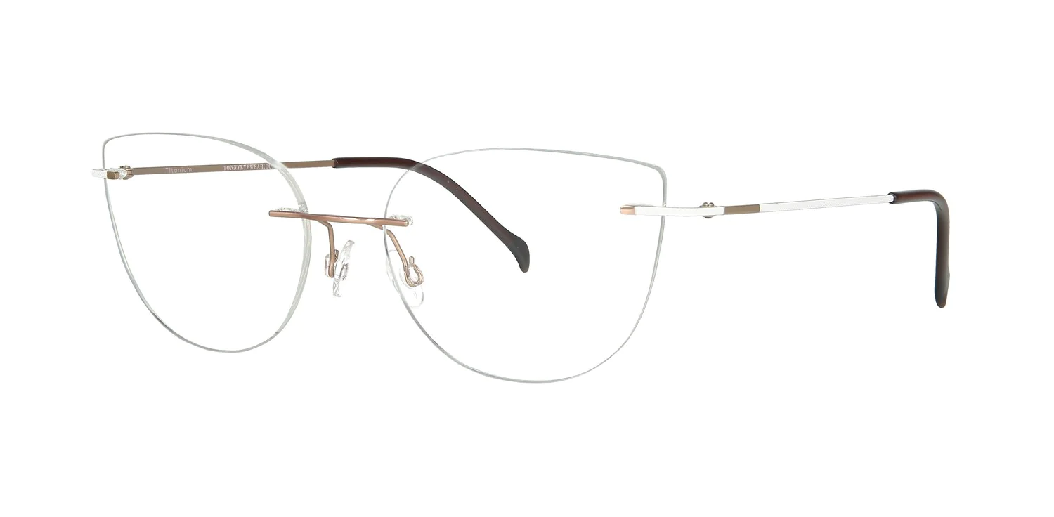 Optical frame TONNY Titanium 243C3