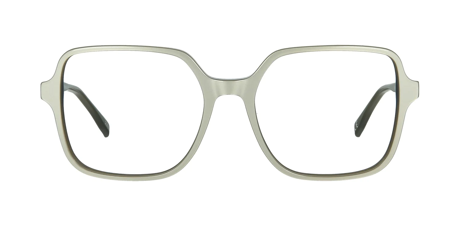 Optical frame TONNY 48458C2