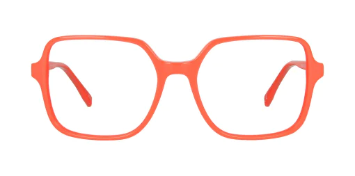 Optical frame TONNY 48458C3