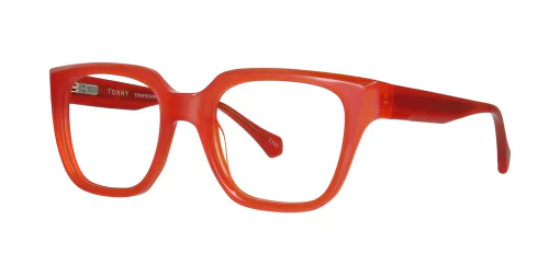 Optical frame TONNY 48461C3