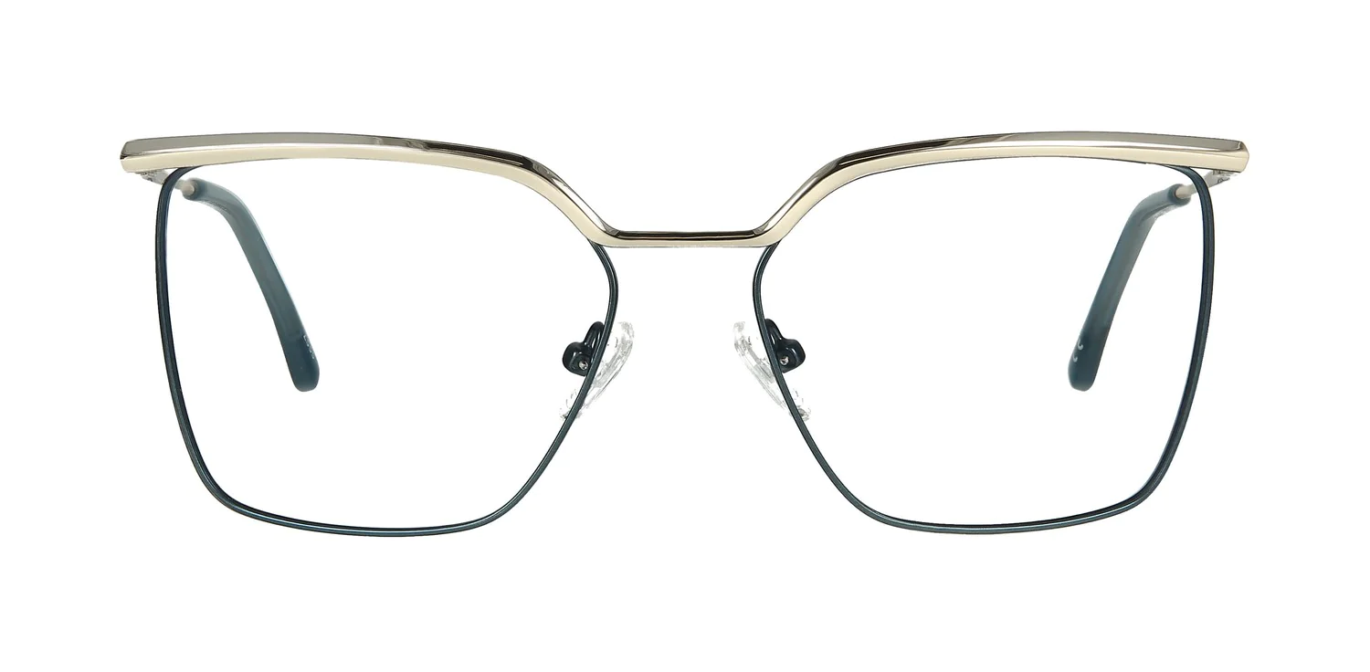 Optical frame TONNY 48466C2