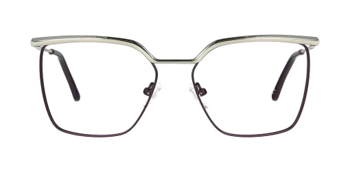 Optical frame TONNY 48466C3