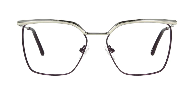 Optical frame TONNY 48466C3