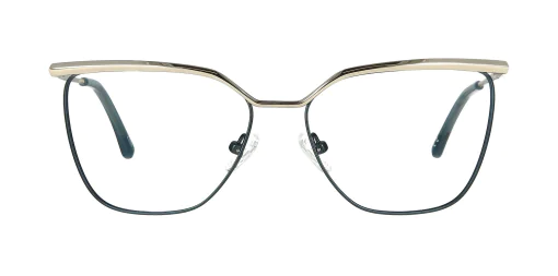 Optical frame TONNY 48467C2