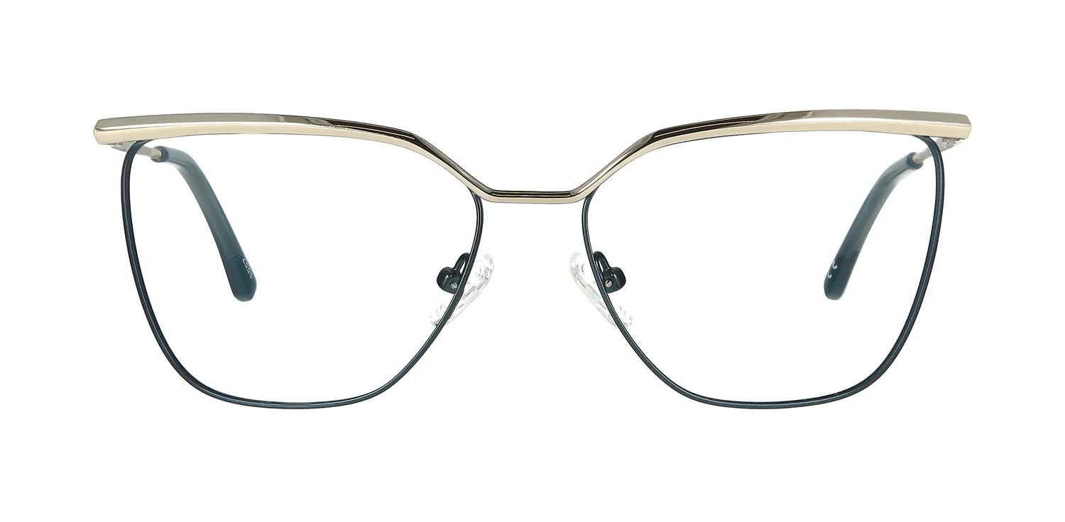 Optical frame TONNY 48467C2