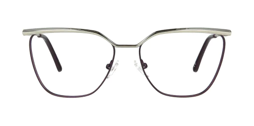 Optical frame TONNY 48467C3